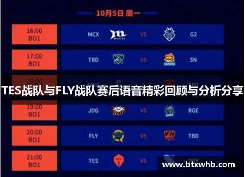 TES战队与FLY战队赛后语音精彩回顾与分析分享