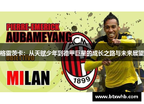 格雷茨卡：从天赋少年到德甲巨星的成长之路与未来展望